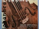 SUA 10375 - ANDRE NAVARRA - BRAHMS CELLO SONATAS - ALFRED HOLECEK - PIANO. NM
