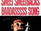 Sweet Sweetbacks Baadasssss Song (Vinyl) - PEEBLES MELVIN VAN [LP]