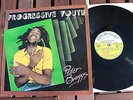 PETER BROGGS-PROGRESSIVE YOUTH-ROOTS REGGAE LP
