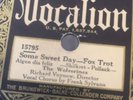HOT DANCE The WOLVERINES Vocalion 15795 Some Sweet Day/My Castle in Spain E-