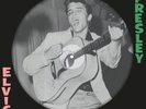 Elvis Presley 1st RCA album - 180g import LP PICTURE DISC