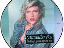 Samantha Fox ?– Nothing's Gonna Stop Me Now Label: Jive ?– FO VINYL PICTURE DISC