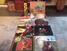 12 LP`s: REAGGE: Peter Tosh - Steel Pulse - Dennis Brown...