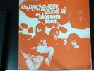 BLOSSOM TOES: the psychedelic sound of