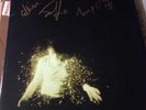 Wolf Alice My Love Is Cool Signed Gold Record