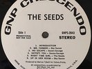 THE SEEDS Raw And Alive LP *PROMO*  Sky Saxon WHITE LABEL WLP
