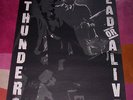 JOHNNY THUNDERS POSTER   DEAD OR ALIVE. Orig large 1978 poster. New York Dolls.