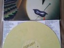 Tiger Army II: Power of Moonlight LP Moon colored vinyl Rancid Necromantix