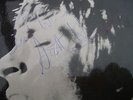 scott 2 scott walker signed on front cover by scott 1968 bl7840