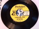 The Dolphins - I Should Have Stayed/Surfing-East Coast 45 (Yorkshire) garage VG+