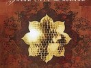 Sarah McLachlan Mirrorball 12