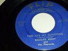 RICHARD BERRY & THE PHARAOHS You Are My Sunshine / Louie Louie FLIP 321 SOUL 45