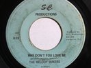 The Melody Makers - Why Don't You Love Me/Lonely Blue 45 So. Carolina Soul HEAR