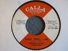 NORTHERN SOUL 45 Frankie and the Classicals What Shall I Do Calla 127  HEAR MP3