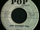 Rare 1959 Teen POP 1103 DJ 45 DONNA Ludwig Richie Valens Girlfriend Tribute