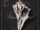 Robert Plant-Lullaby And...the Ceaseless Roar  VINYL NUEVO (Importación USA)