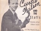 CURTIS WILSON 45RPM - POOR LITTLE STRAY DOG - ON CHERRY - WITH PICTURE SLEEVE