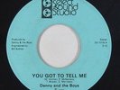 Power Pop 45 - Danny & the Boys - You Got To Tell Me - Select Sound VG+ unknown?
