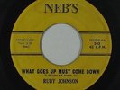 R&B/Deep Soul 45 - Ruby Johnson - What Goes Up Must Come Down - Neb's - mp3