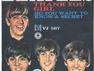SOLO COPERTINA - COVER ONLY - THE BEATLES - Thank you girl - Vee Jay -  ITA EX