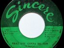 LaSAWN COLLINS  What You Gonna Do Now/Girl Chooses Boy  XO NORTHERN SOUL Sincere