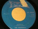 PRIVATE 1964 WI Garage Punk 45 - THE SHANDELLS 