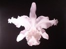 KINGS OF LEON - Aha Shake Heartbreak (reissue) - Vinyl (2xLP)