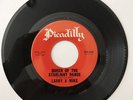 LARRY&MIKE--Queen Of The Starlight Dance-45rpm- TEENER