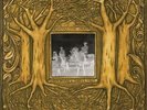 CRAIN, SAMANTHA - UNDER BRANCH & THORN & TR NEW VINYL