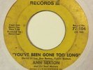 Ann Sexton - You've Been Gone Too Long 45 NORTHERN SOUL FUNK G+