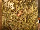 The Dear Hunter Act I: The Lake South, The River North Vinyl LP (Black)