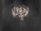 The Weight of Your Love [7/2] * by Editors (Vinyl, Jul-2013, 2 Dis