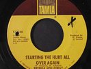 BRENDA HOLLOWAY: Just Look What You've Done / Starting The Hurt All Over Again