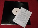 The Distractions:  Nobodys Perfect  WHITE LABEL TEST PRESSING  LP  + insert