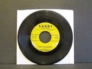 Jackie Morningstar Rockin' In The Graveyard 1959 Rockabilly 45 RPM Sandy 1018