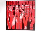 Reason Why? LP  Vinyl (Angelic Upstarts - 1983) GRAM 004 (ID:14994)