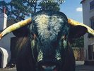 Swervedriver - Mezcal Head