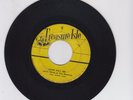 COME BAIL ME  -  JUSTIN HINDS & THE DOMINOES (64 SKA  7