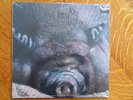 KIN PING MEH No. 2 LP Hard rock progressive SEALED