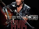 Elvis PresIey - King Of The Jungle - E.Lorentzen Book - New & Sealed