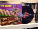 PURPLE VINYL 10