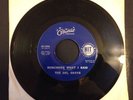 THE DEL SHAYS -REMEMBER WHAT I SAID/A LONG LONG TIME RARE45 7