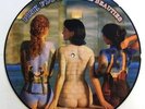 PINK FLOYD LP VINYL - rare beauties - PICTURE DISC