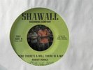 The Traveling Sons Precious Lord gospel 45 on Shawall mp3