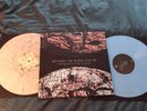 Between the Buried and Me The Parallax II: Future Sequence Vinyl Blue Gray NM