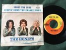 THE HONEYS RARE Shoot The Curl-Surfin' Down The Swanee River 45 & Picture Sleeve