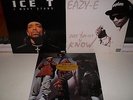 EAZY-E,ICE-T,RUN DMC,NAUGHTY BY NATURE,TONE LOC,CYPRESS HILL,HIP HOP VINYL