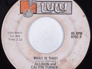 Northern/Deep Soul Funk 45 ALLISON & CALVIN TURNER What Is This? LULU HEAR