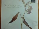 Kathleen Edwards - Asking for Flowers (Vinyl, Mar-2008, Zoe)