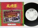 STRAY ONLY WHAT YOU MAKE IT TRANSATLANTIC IRR-10402 Japan Promo Vinyl 7